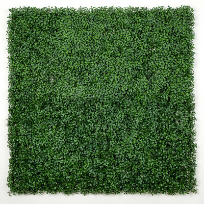 Dark Artificial Boxwood Wall 40" x 40" 11SQ FT
