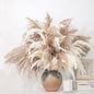 Fluffy Brown & White Pampas Grass Decor Tall Pompas Grass for Floor Vase