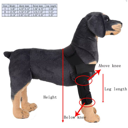 Dog Knee Brace and Leg Protector for Injury Recovery